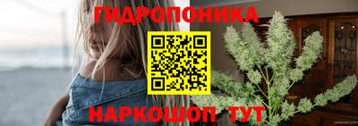 дмт Тула