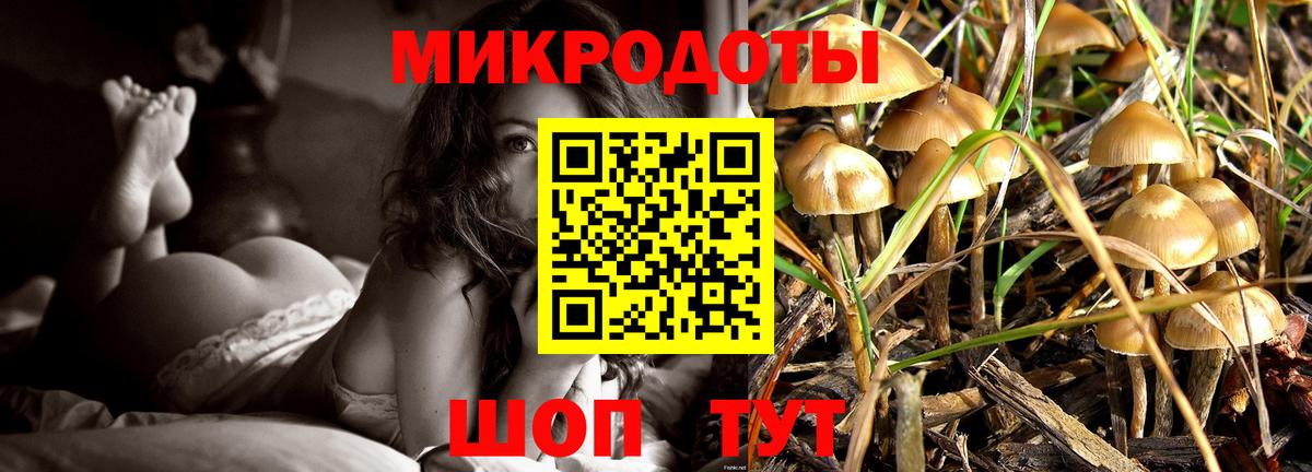 Новоуральск  Псилоцибиновые грибы мицелий  Вход с VPN  Галлюциногенные грибы Cubensis 